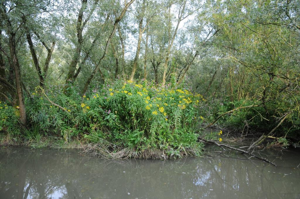 De Brabantse Biesbosch Werkendam Exterior foto