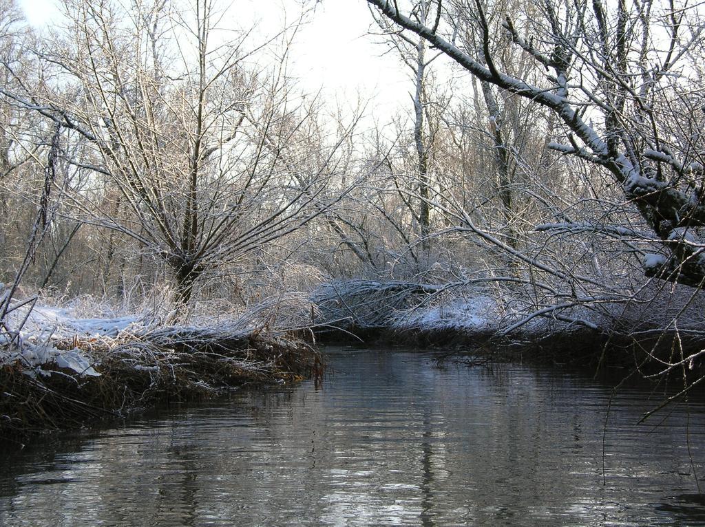 De Brabantse Biesbosch Werkendam Exterior foto