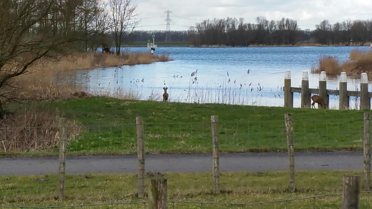 De Brabantse Biesbosch Werkendam Exterior foto