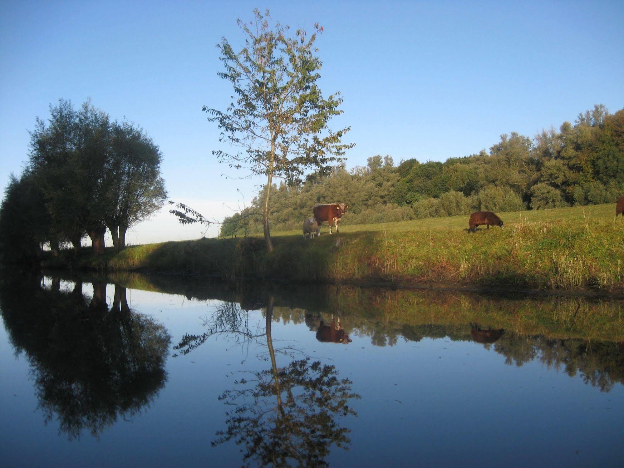 De Brabantse Biesbosch Werkendam Exterior foto