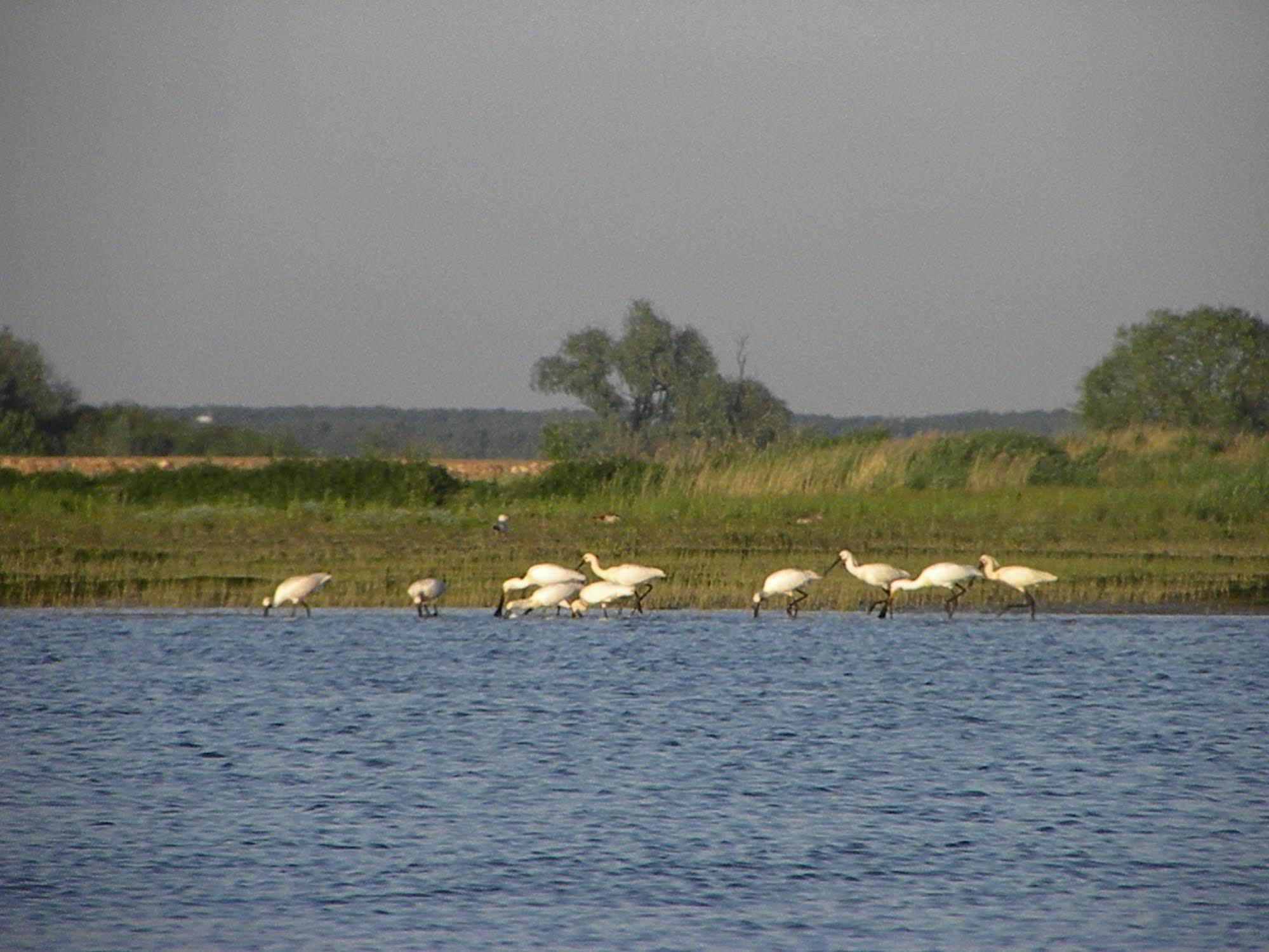 De Brabantse Biesbosch Werkendam Exterior foto