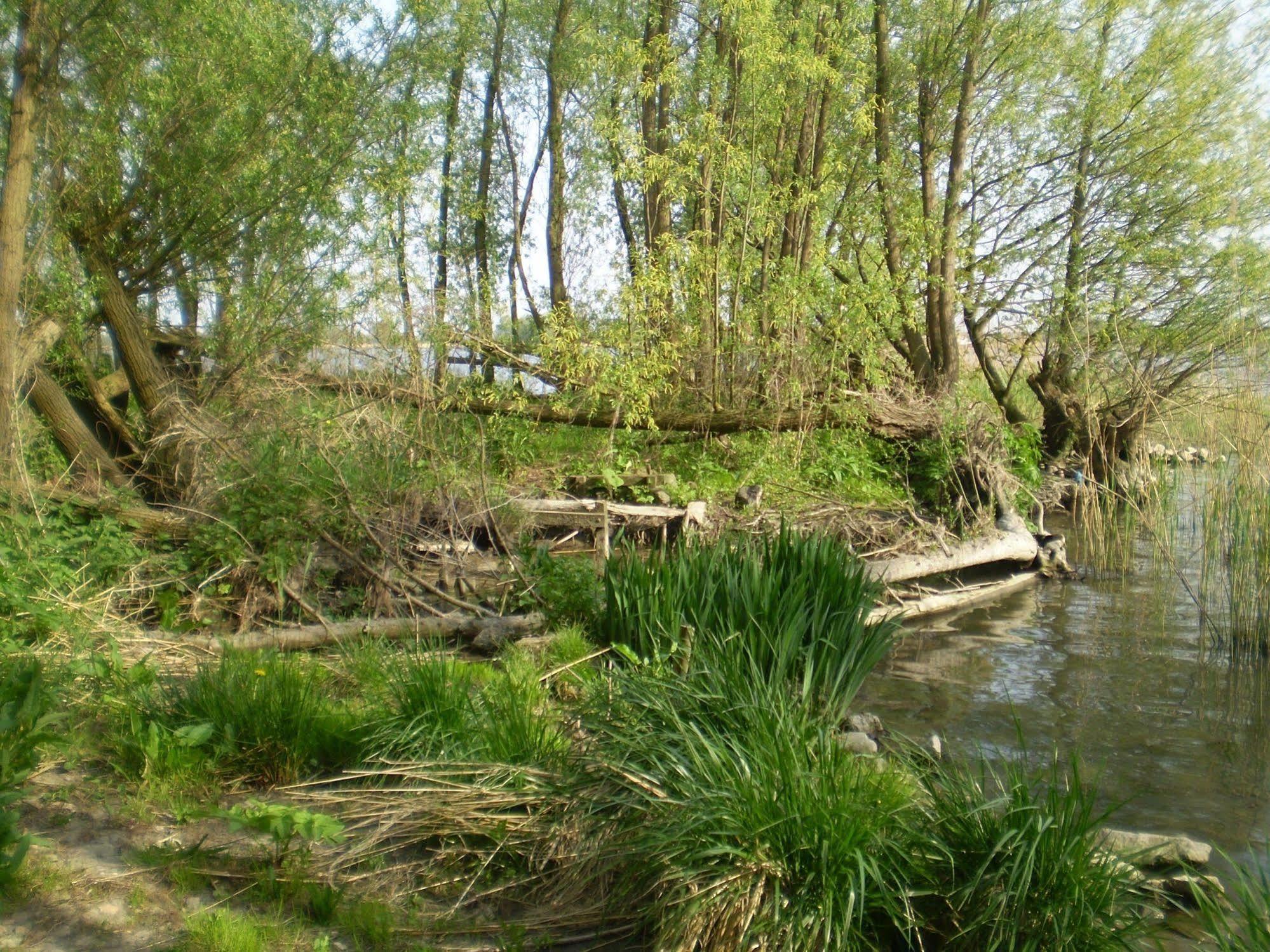De Brabantse Biesbosch Werkendam Exterior foto